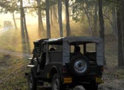 Wayanad Luxurious Wild