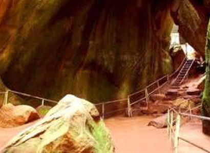 Wayanad Luxurious Honeymoon