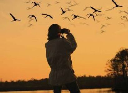 Long Weekend Honeymoon - Coorg,Wayanad & Ooty