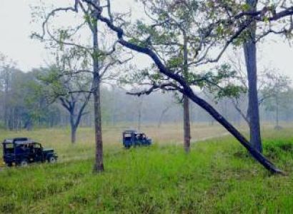 Long Weekend Honeymoon - Coorg,Wayanad & Ooty