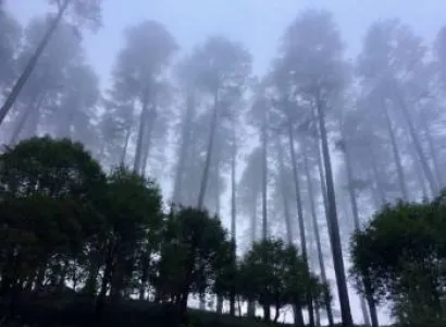 12 Nights 13 Days Mussoorie Haridwar Corbett Ranikhet Binsar Kausani Nainital Tour