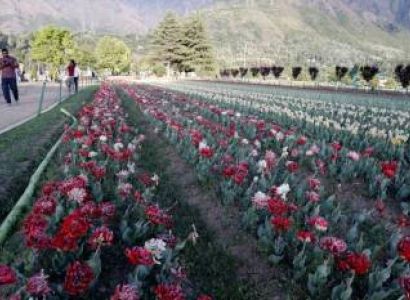 4 Nights - 5 Days Amazing Kashmir Package - 2