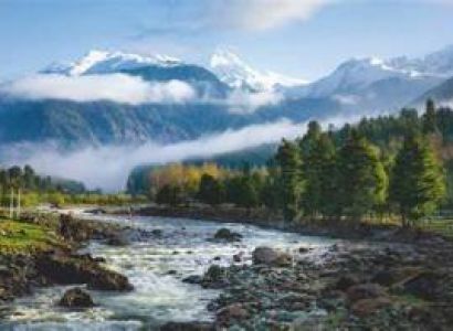 4Nights/5Days Kashmir Tour