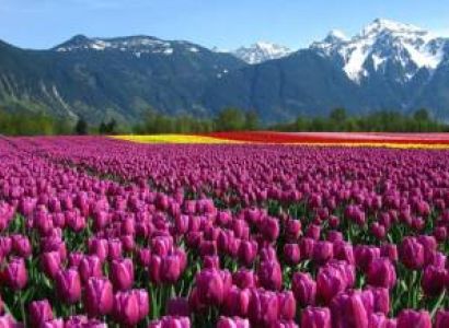 Full kashmir Package