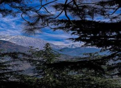 5 Nights 6 Days Dharamshala - Khajjiar - Dalhousie Tour Package