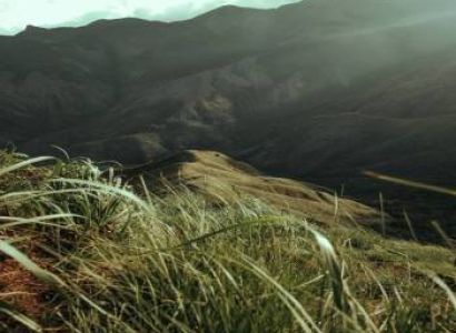 3 Nights 4 Days Munnar - Alleppey Tour Package