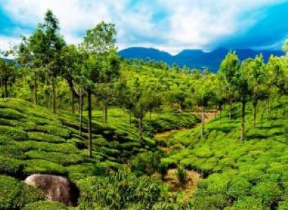 3 Nights 4 Days Munnar - Thekkady Tour Package