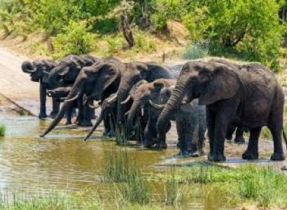 Thekkady Tour Packages