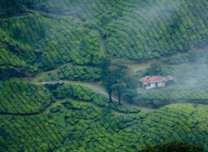 Thekkady Tour Packages