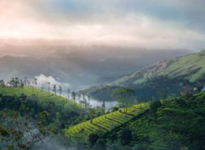 3 Nights 4 Days Munnar - Thekkady Tour Package