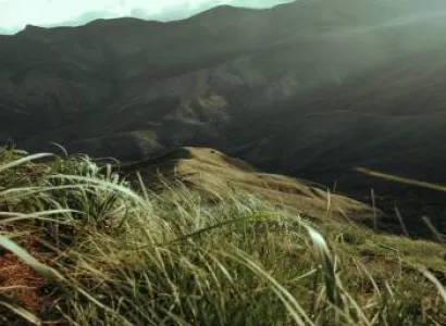 Thekkady Tour Packages