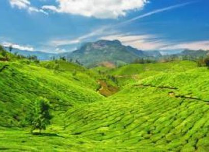 2 Nights 3 Days Munnar Weekend's Trip