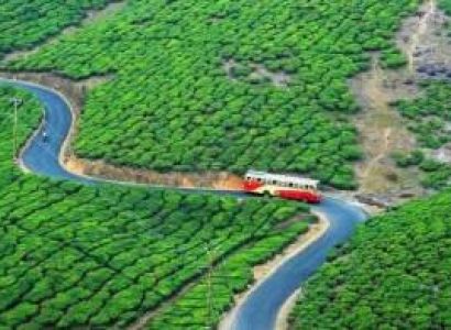 4 Nights 5 Days Kerala Tour Package