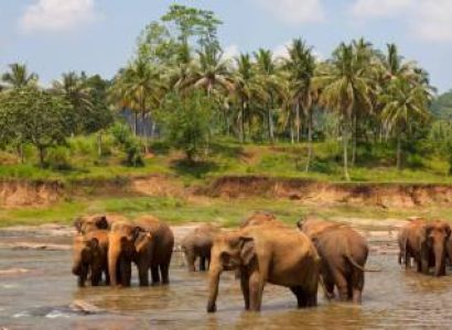 5 Nights 6 Days Kerala Tour Package