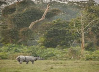 5 Nights 6 Days Kerala Tour Package