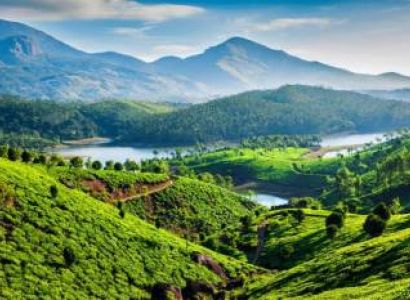Thekkady Tour Packages