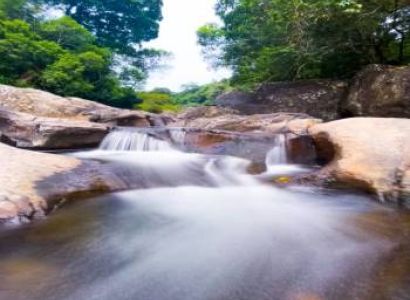 2 Nights 3 Days Wayanad Weekend Tour Package