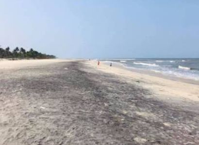 1Night - 2Days Alleppey To Thottapally Trip