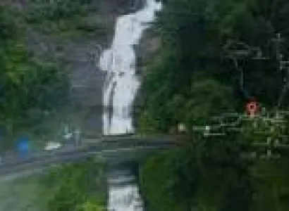 Thekkady Tour Packages