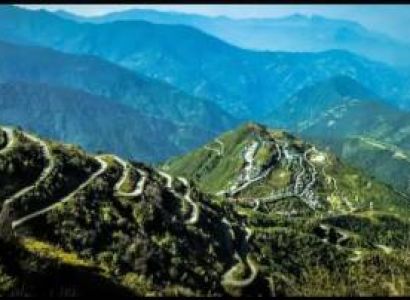 Yumthang Tour Packages