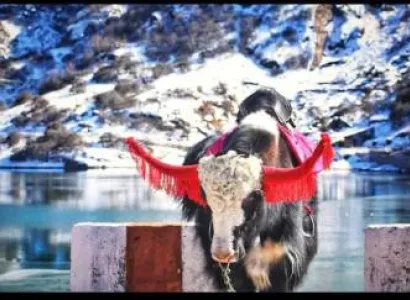 4 Nights - 5 Days Sikkim Tour