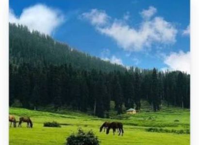 Best Kashmir Tour