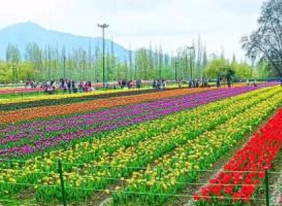 6 Night 7 Days Luxury tour to Kashmir
