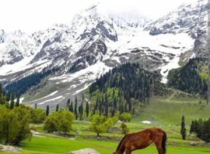 Couple Package for Kashmir 6 Nights 7 Days