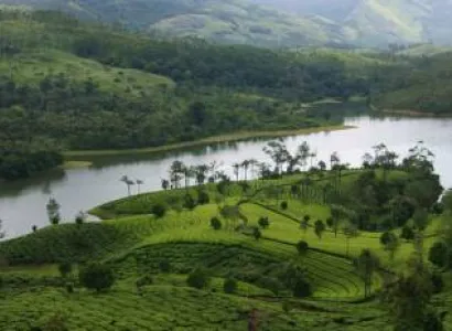 Thekkady Tour Packages