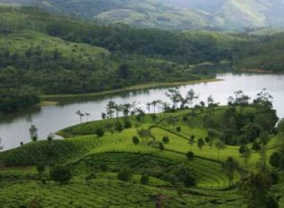 Kerala Tour Package With Cochin-Munnar-Thekkady 4 Night And 5 Days