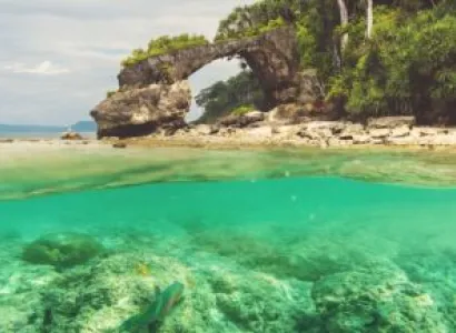 Havelock Tour Packages