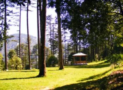 Uttarakhand Tour Package With Dehradun - Dhanaulti 2 Night 3 Days