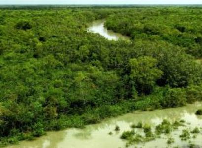 6 Night And 7 Days West Bengal Tour Package - 2