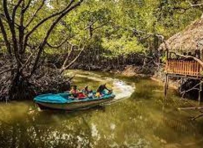 Havelock Tour Packages