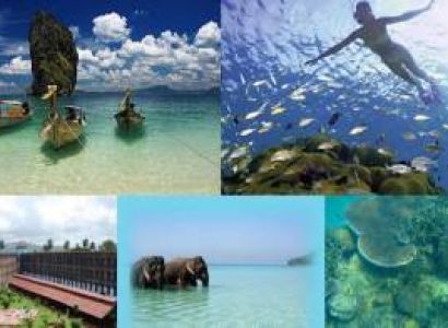 Baratang Island Tour Packages