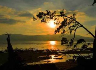 Neil Island Tour Packages