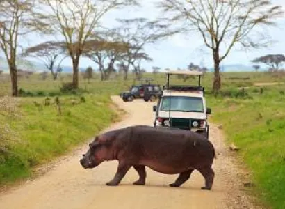 8 Days In Zanzibar With Mikumi Full Day Tour