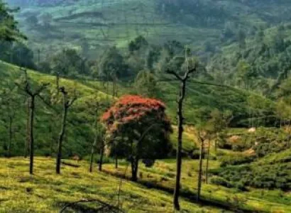 3 Days Ooty And Coonnor Tour