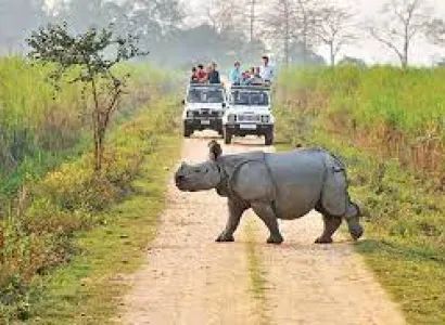 Assam 3 Days 2 Night Tour Package