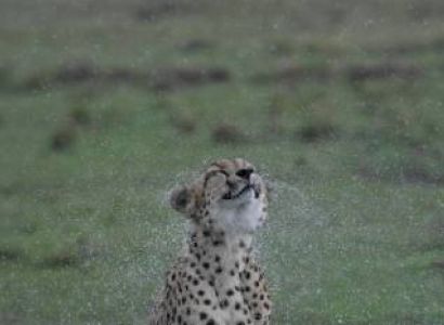 Ngorongoro Tour Packages