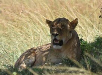 Ngorongoro Tour Packages