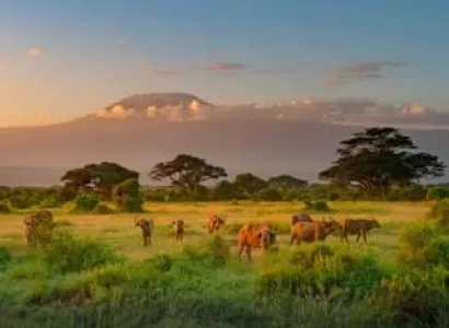 4 Days Explore Amboseli Kenya Safari Tour