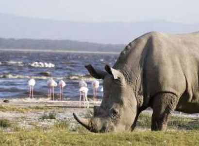 8 Days Best Kenya Family Safari And Beach Holiday Tour