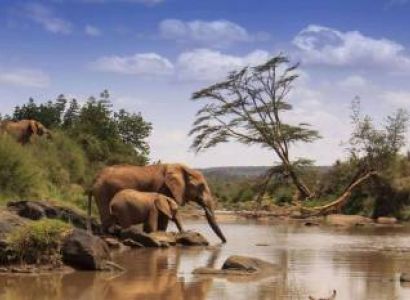 9 Days Adventure Family Safari In Kenya Tour