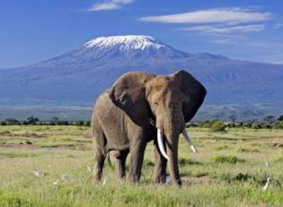 3 Days Fantastic Amboseli Adventure Safari Tour