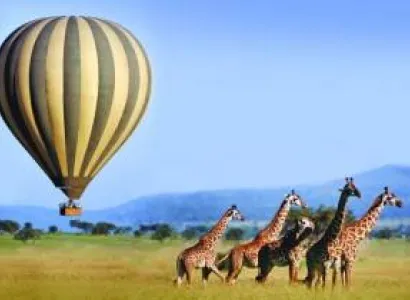 Ngorongoro Tour Packages