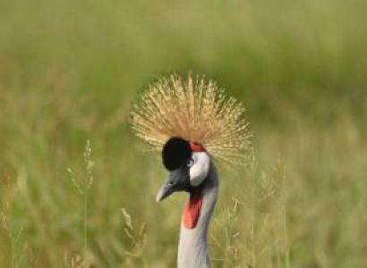 Samburu Tour Packages