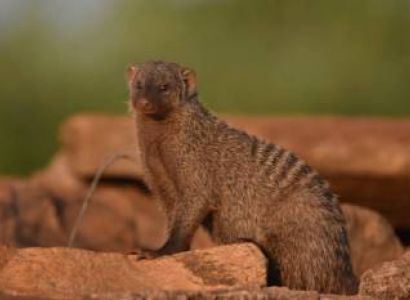 Samburu Tour Packages