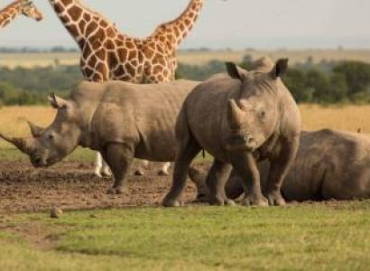 7 Days Best African Safari Kenya Tour