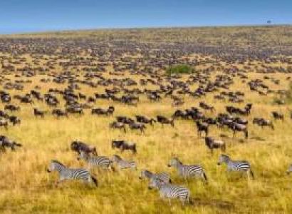 Africa Photo Safari 8 Days Kenya Tour